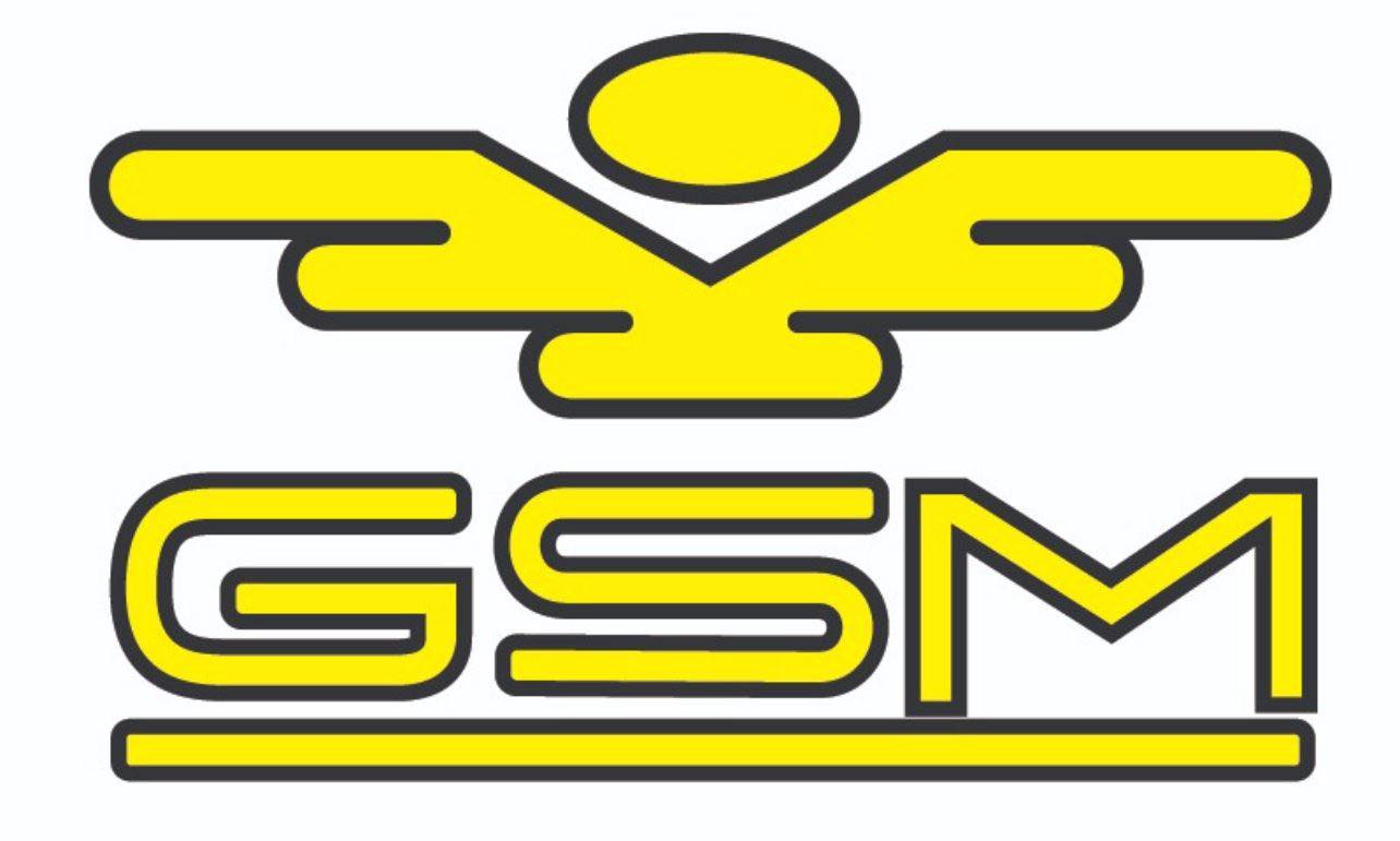 Logo Grupo San Miguel